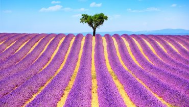 Camping in Frankrijk