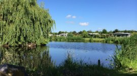 Naturistencamping De Brongaard