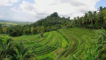 Naturisme in Indonesië