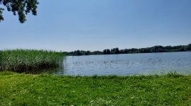 Naaktstrand Gaasperplas Park