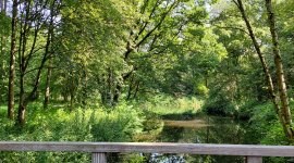 Naaktstrand Gaasperplas Park