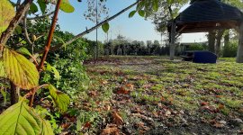 Naturistencamping De Peelrand