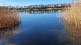 Naaktstrand Maarsseveense Plassen (strandbad)