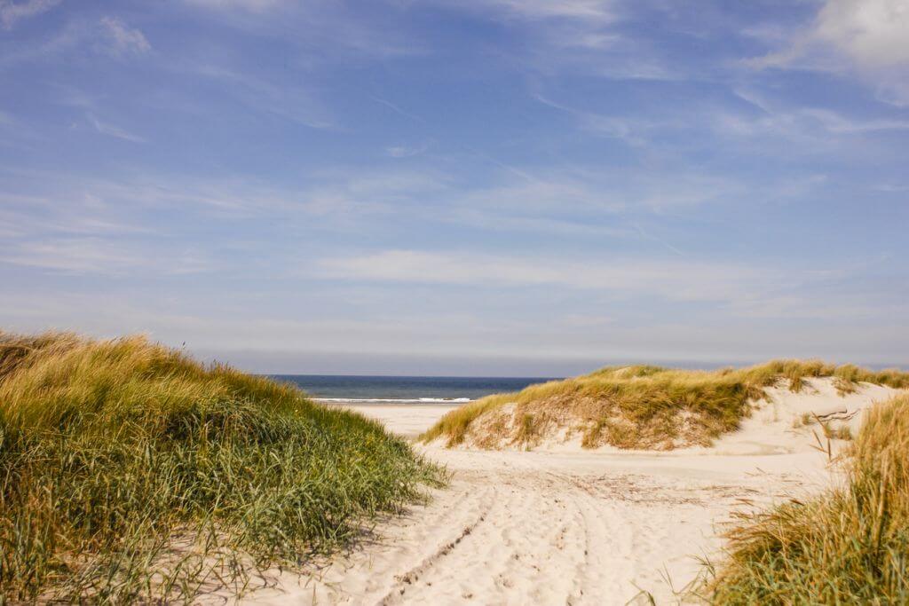Gezocht: foto's van naaktstranden!