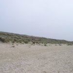 Naaktstranden Scheveningen en Westduinpark voorzien van nieuwe borden