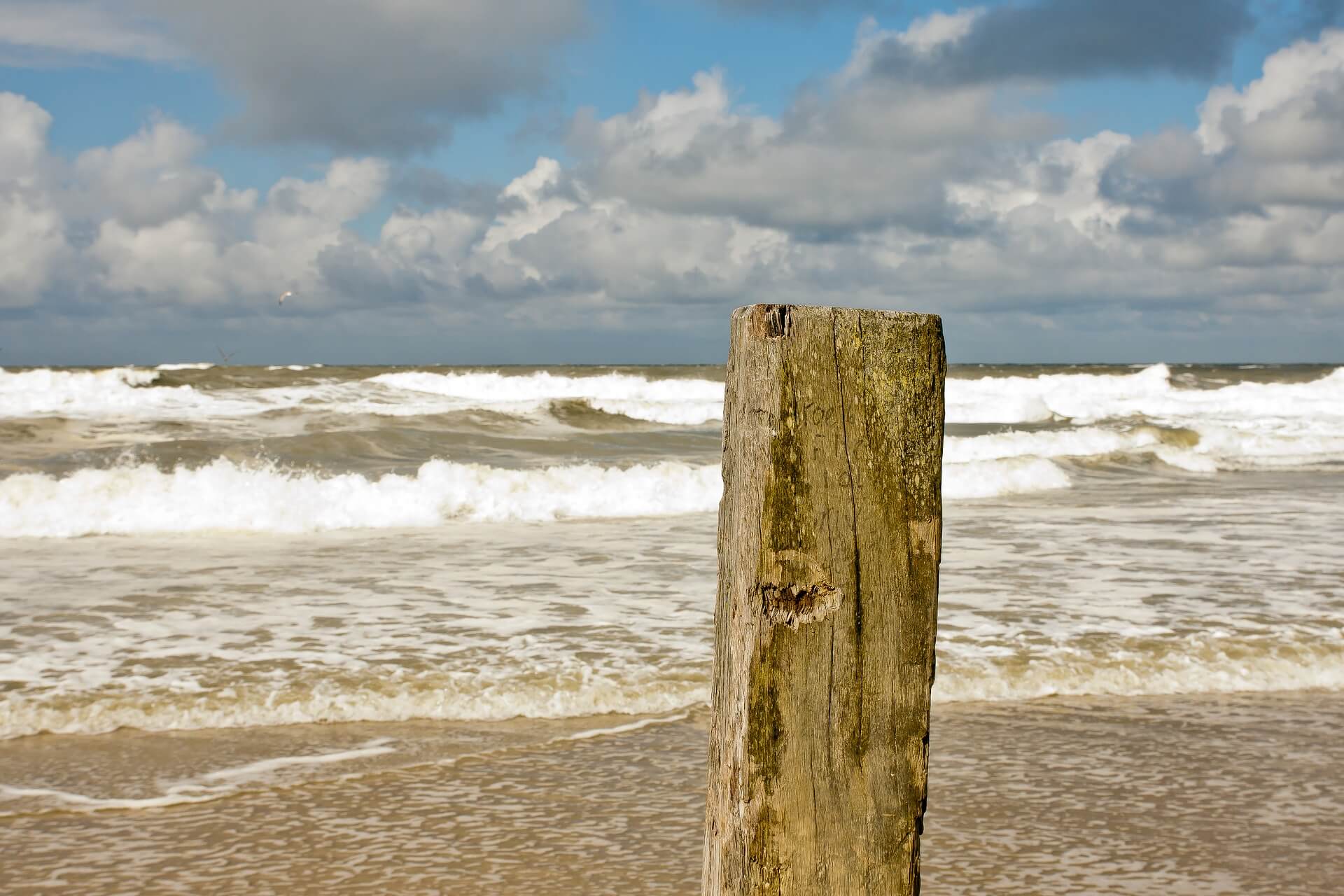 Naaktstrand Hoek van Holland